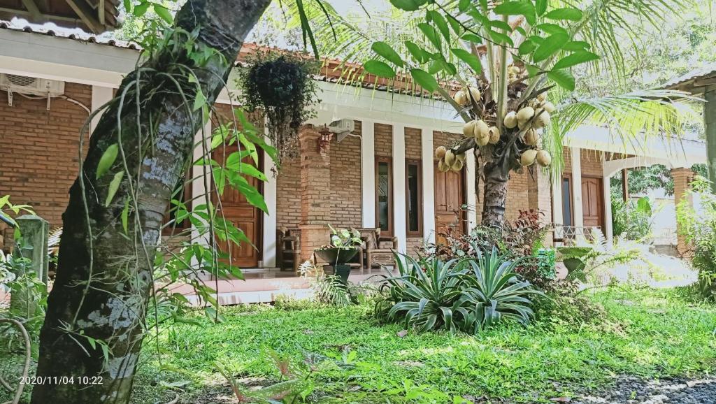 Kumojoyo Homestay Magelang Exterior photo